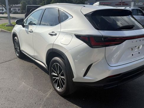 Used 2024 Lexus NX 350 AWD w/ Cold Area Package image 6