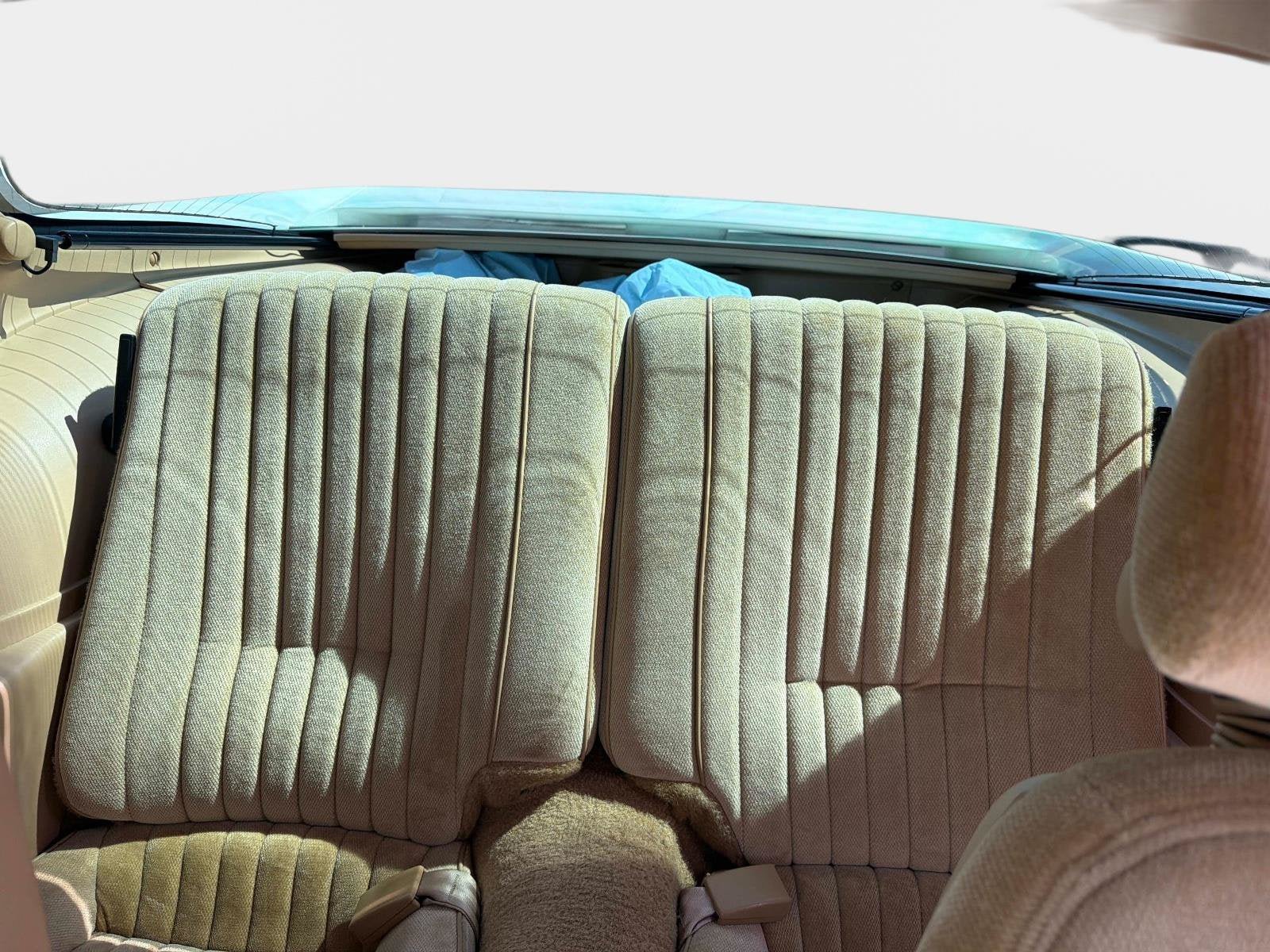 Used 1987 Pontiac Firebird Trans Am RWD image 14