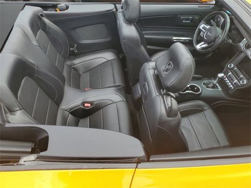 Used 2019 Ford Mustang GT Premium w/ Equipment Group 401A image 30