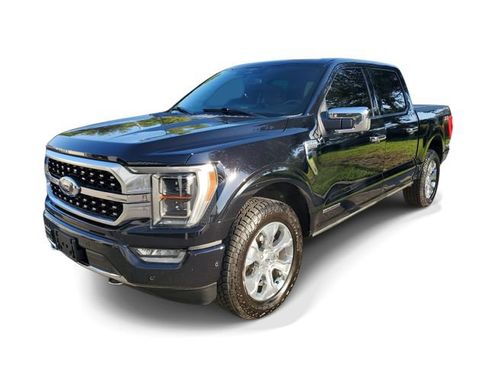 Used 2023 Ford F150 Platinum AWD/4WD image 2