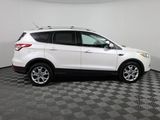 Used 2014 Ford Escape Titanium image 4