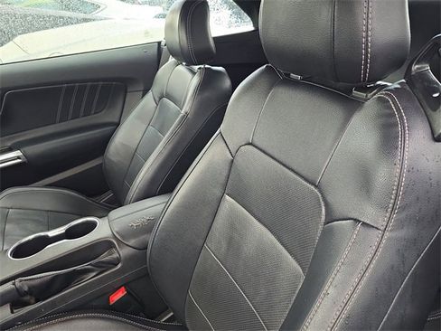 Used 2019 Ford Mustang Premium image 12