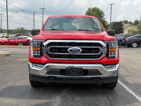 Used 2023 Ford F150 XLT w/ Equipment Group 302A High AWD/4WD image 10