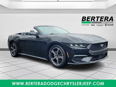 Used 2024 Ford Mustang Premium