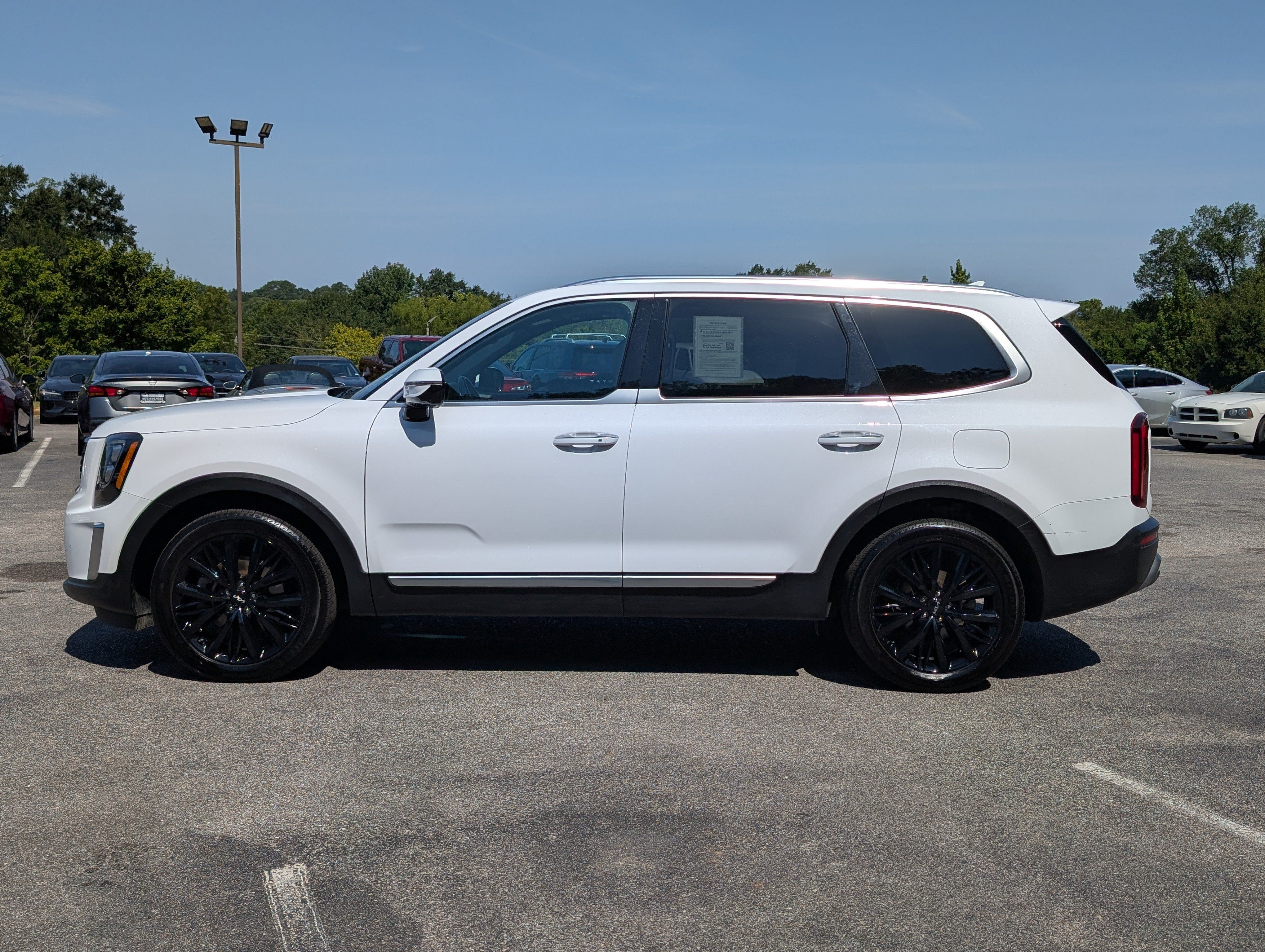 Used 2022 Kia Telluride SX AWD/4WD image 6