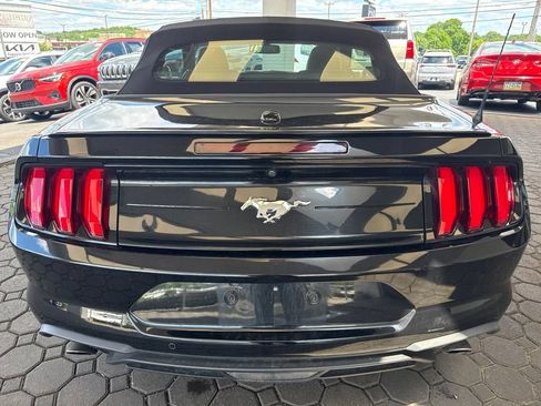 Used 2019 Ford Mustang Premium RWD image 7