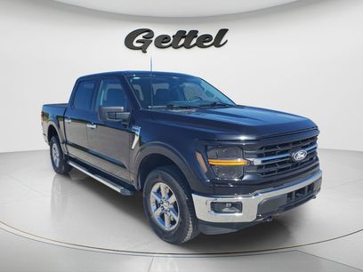 Used 2025 Ford F150 XLT w/ Equipment Group 301A Standard
