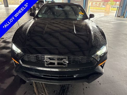 Used 2022 Ford Mustang Coupe w/ Equipment Group 101A image 2