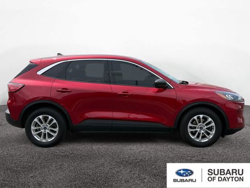 Used 2022 Ford Escape SE w/ Cold Weather Package FWD image 4