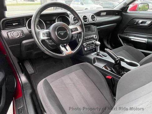 Used 2019 Ford Mustang Coupe image 13