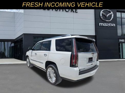 Used 2020 Cadillac Escalade Platinum RWD image 3