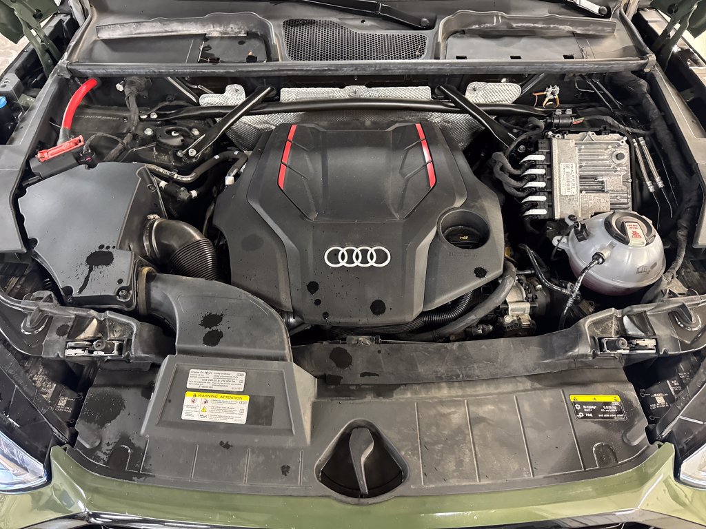 Certified 2024 Audi SQ5 Premium Plus w/ Premium Plus Package AWD/4WD image 10