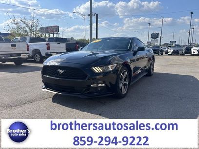 Used 2015 Ford Mustang Coupe w/ Equipment Group 051A