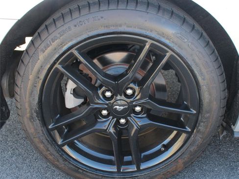 Used 2019 Ford Mustang Premium image 19