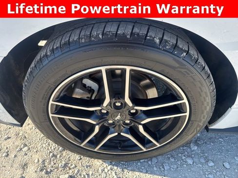 Used 2021 Ford Mustang Premium image 8