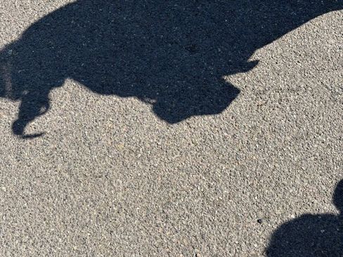 Used 2021 GMC Yukon Denali w/ Denali Premium Package AWD/4WD image 4