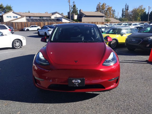 Used 2025 Tesla Model Y Long Range RWD image 2