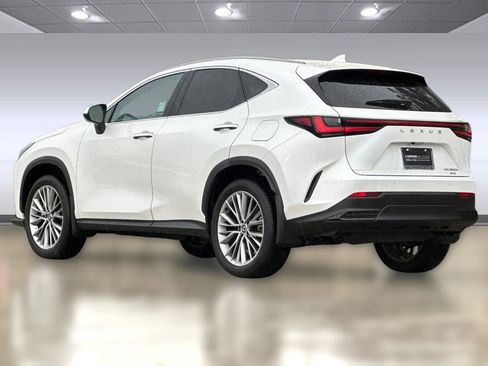 Certified 2025 Lexus NX 300h AWD w/ Luxury Package image 3