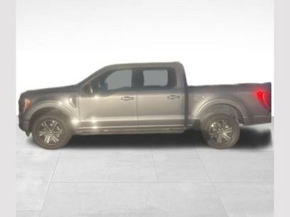 Certified 2023 Ford F150 XLT w/ Equipment Group 302A High