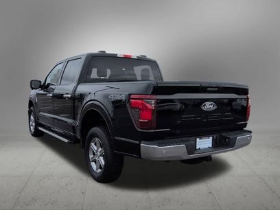 Used 2024 Ford F150 XLT