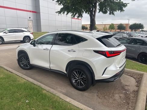 Used 2024 Lexus NX 350h AWD image 5