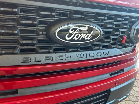 New 2025 Ford F150 XLT w/ Equipment Group 303A High image 20