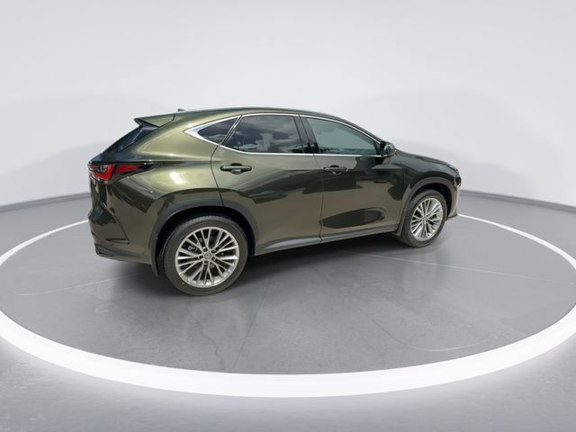 Certified 2026 Lexus NX 350 AWD w/ Accessory Package (2T) image 8