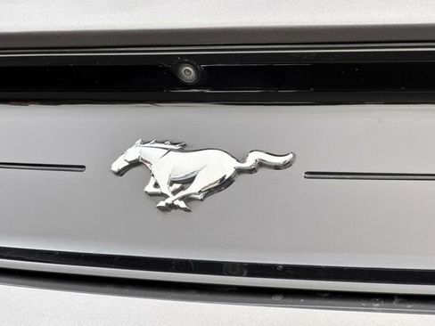 Certified 2022 Ford Mustang Coupe w/ Equipment Group 101A image 22