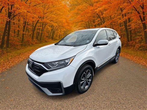 Used 2020 Honda CR-V EX-L image 3