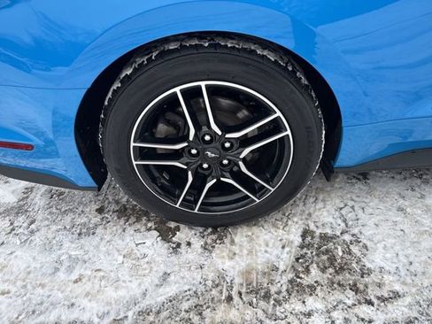 Used 2023 Ford Mustang Premium image 13