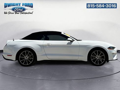 Used 2019 Ford Mustang Premium w/ Equipment Group 201A RWD image 6