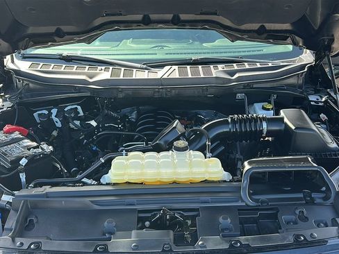 Used 2025 Ford F150 XLT w/ Equipment Group 301A Standard RWD image 3