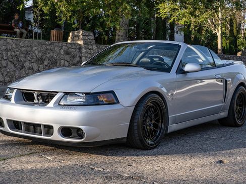 Used 2003 Ford Mustang Cobra RWD image 14