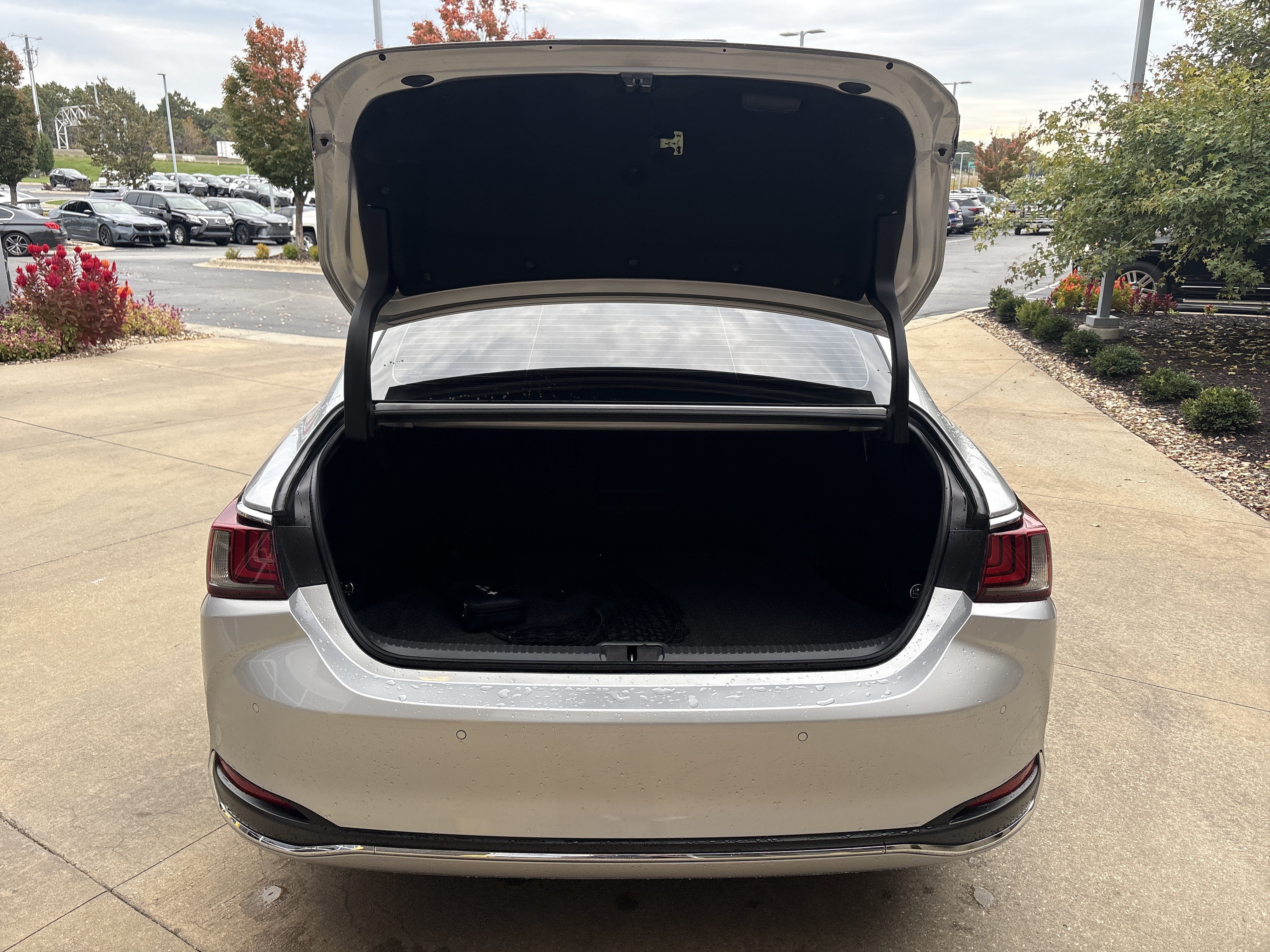 Used 2019 Lexus ES 300h w/ Premium Package FWD image 32