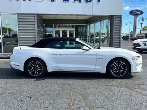 Used 2019 Ford Mustang GT Premium w/ Equipment Group 401A RWD image 4