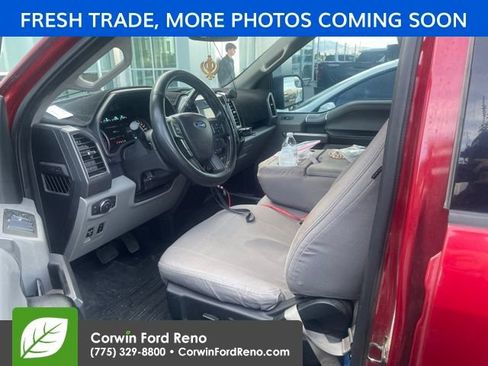Used 2019 Ford F150 XLT w/ Equipment Group 301A Mid AWD/4WD image 7