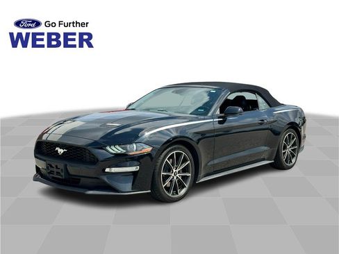 Used 2019 Ford Mustang Premium w/ Equipment Group 201A RWD image 1