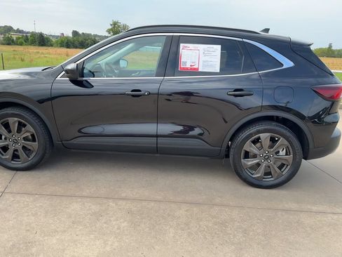 Used 2025 Ford Escape Platinum AWD/4WD image 6