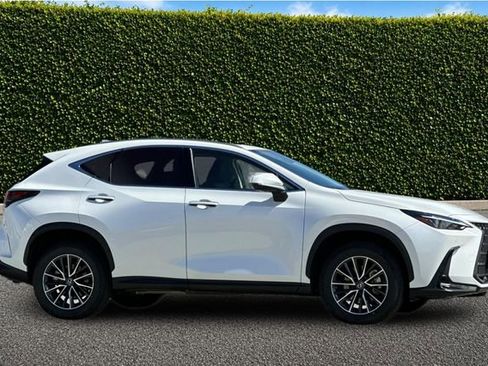 Used 2025 Lexus NX 350h AWD w/ Cold Area Package image 3