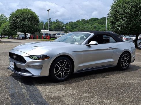 Used 2019 Ford Mustang Premium RWD image 4