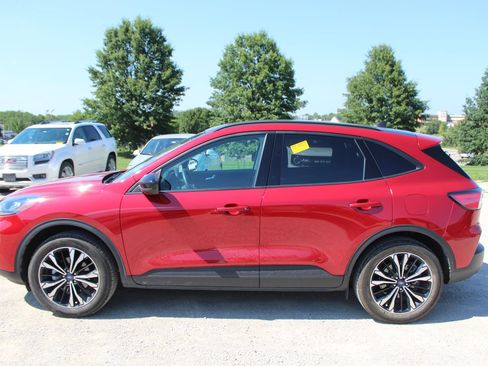 Used 2022 Ford Escape SEL w/ SEL Stealth AWD Package image 3