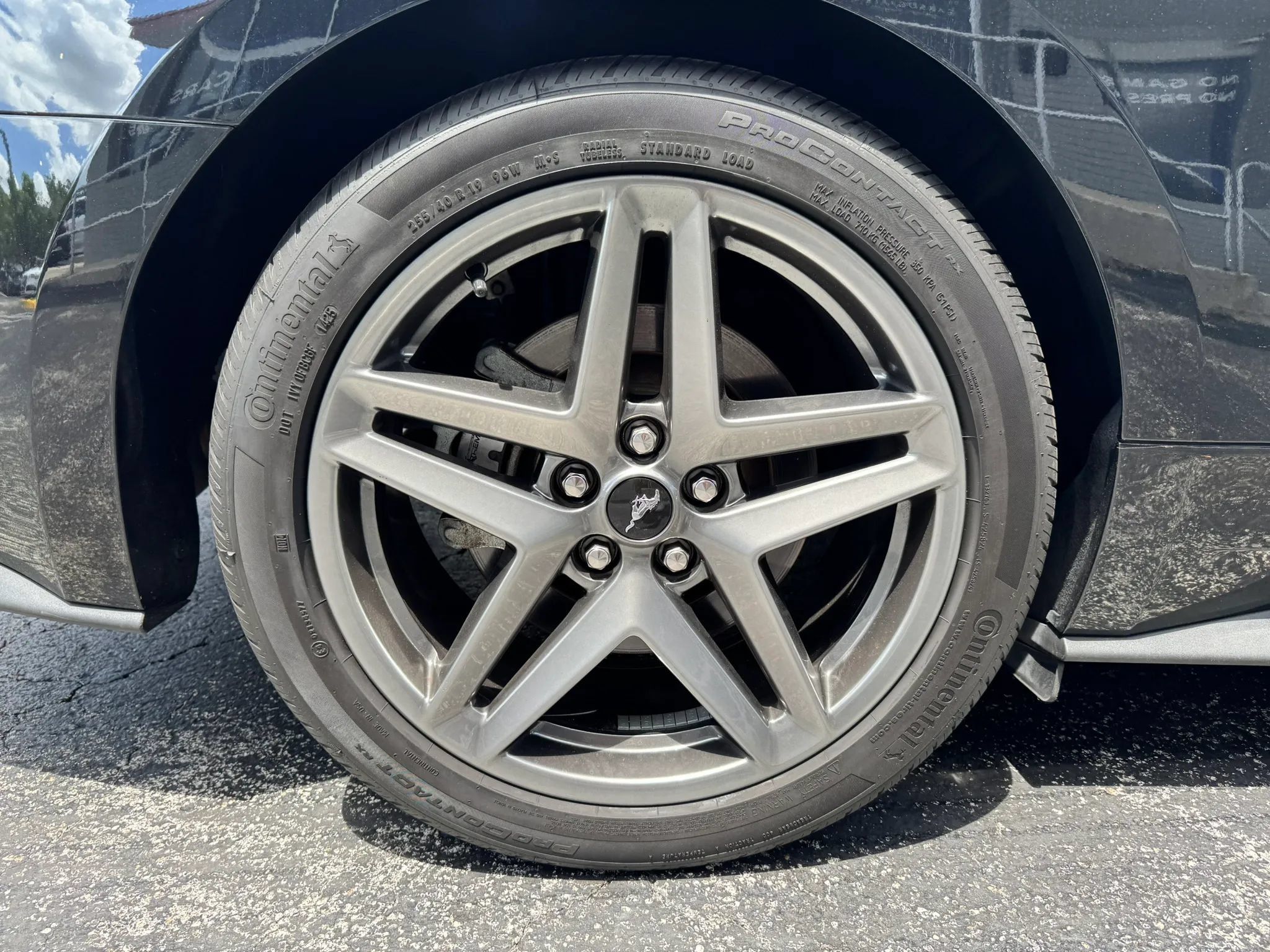 Used 2021 Ford Mustang GT RWD image 16
