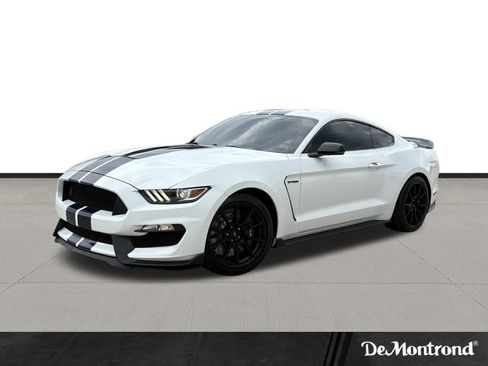 Used 2019 Ford Mustang Shelby GT350 w/ Technology Package RWD image 1