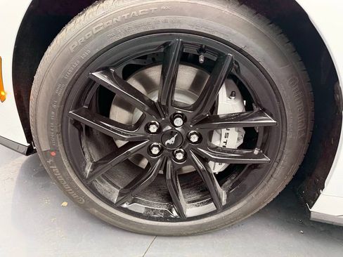 New 2025 Ford Mustang GT Premium w/ Mustang Nite Pony Package RWD image 22
