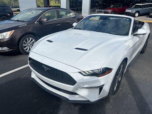 Used 2019 Ford Mustang Premium w/ Equipment Group 201A image 2