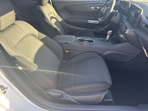 New 2026 Ford Mustang Coupe w/ Mustang Nite Pony Package image 13