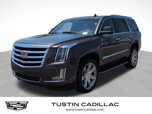 Used 2020 Cadillac Escalade Luxury RWD image 1