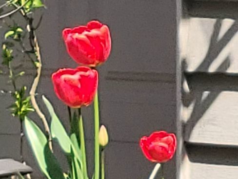 Used 2014 Ford Fusion SE image 26