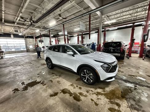 Certified 2023 Kia Sportage EX image 11