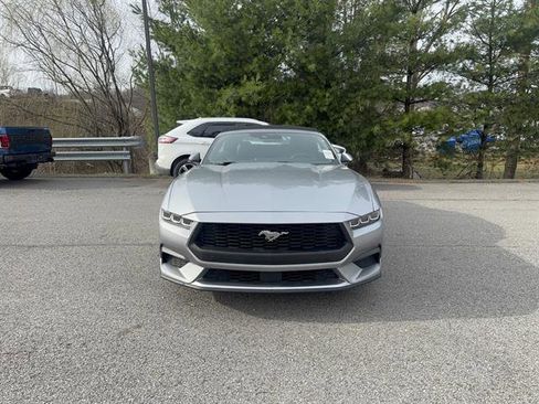 Used 2024 Ford Mustang Premium image 3